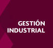 <span style="font-weight: bold; font-style: italic;">Gestion industrial</span> 