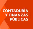 <span style="font-weight: bold; font-style: italic;">Contaduria y finanzas publicas</span> 