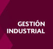 <span style="font-weight: bold; font-style: italic;">Gestion industrial</span> 