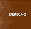 <span style="font-weight: bold; font-style: italic;">Derecho</span>